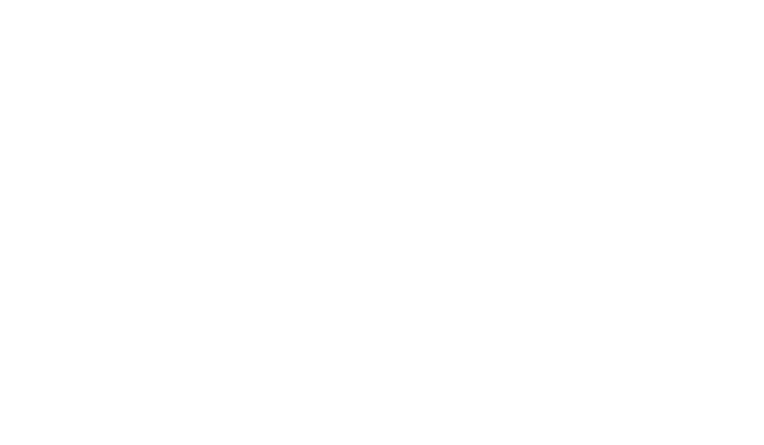 bmw-02 Audi