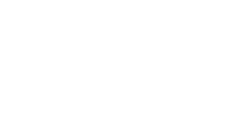 tesla-02 Audi