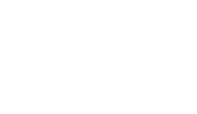 vw-02 Audi